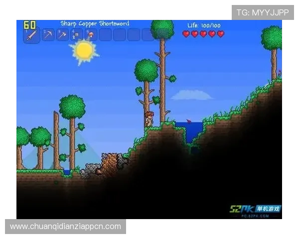 单机老虎机游戏的玩法介绍与技巧分析，帮助新手快速上手